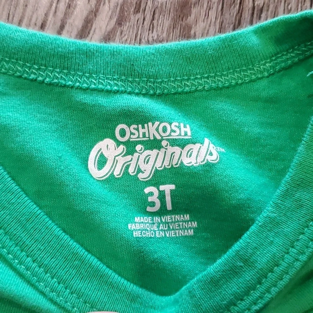 OshKosh/Children's Place Long Sleeve/Pants Dinosaur Outfit Size 3T